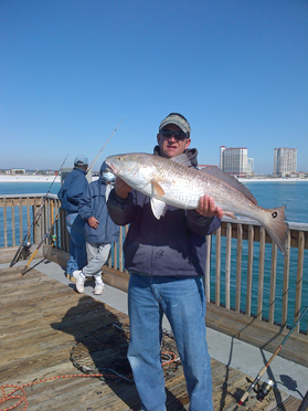 Nice Redfish