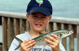 Fish Pensacola Beach Pier