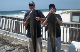 Fish Pensacola Beach Pier