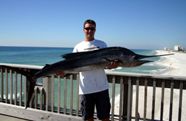 Fish Pensacola Beach Pier